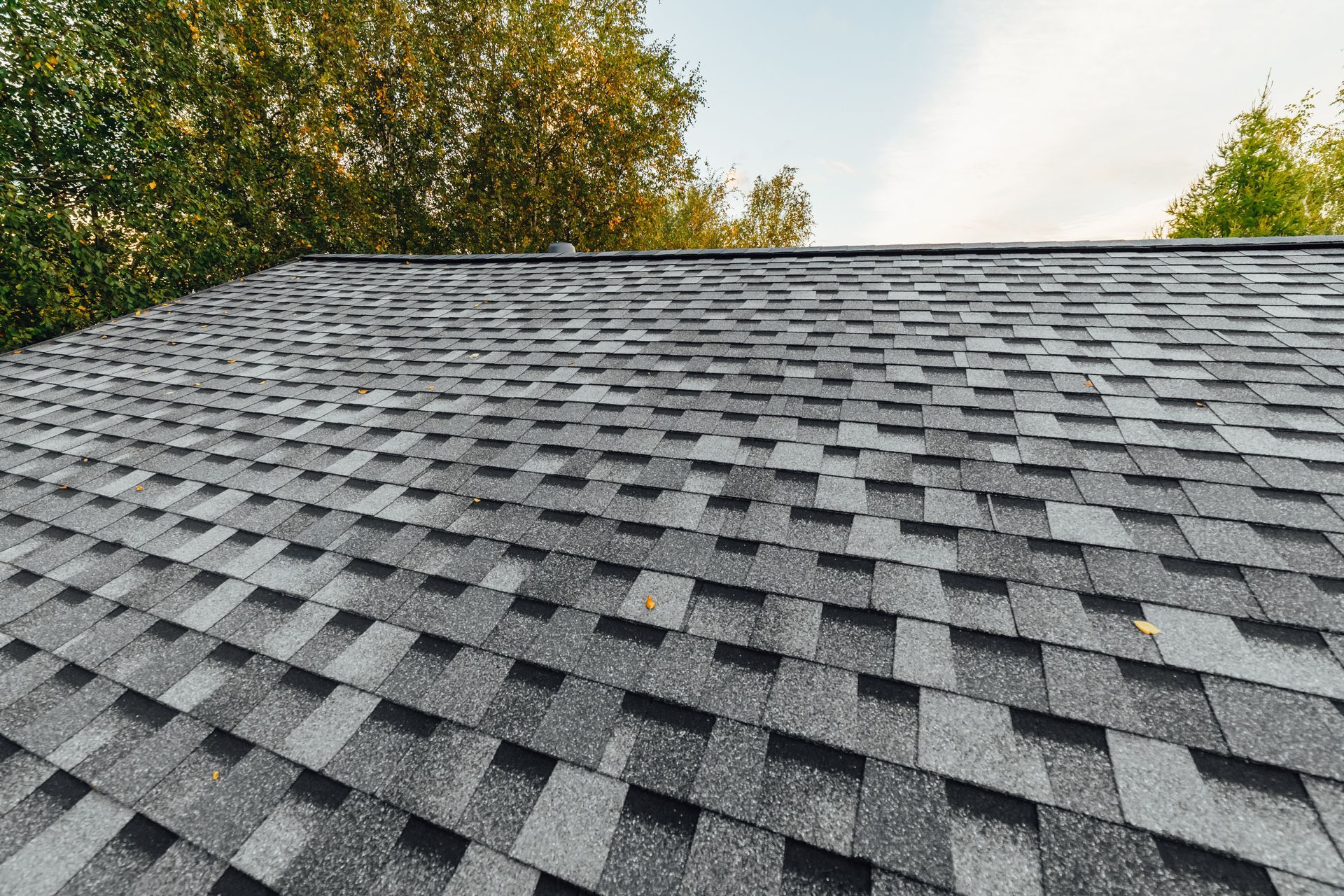 Gray asphalt roof shingles viewed from below with trees and sky in the background