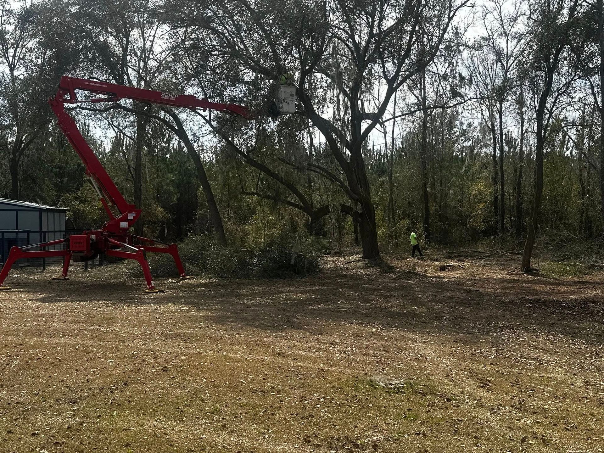 Red excavator arm beside a wooded clearing with leaf-covered ground