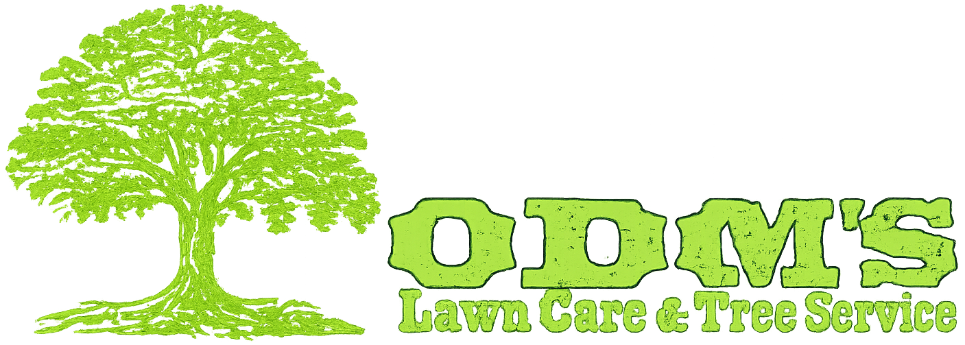 Green tree logo with “OTTM’s Lawn Care & Tree Service” in bright green text