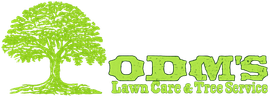 Green tree logo with “POMIS” and “Lawn Care & Tree Service” text