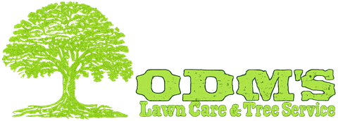 Green tree logo with “OTTM’s Lawn Care & Tree Service” in bright green text