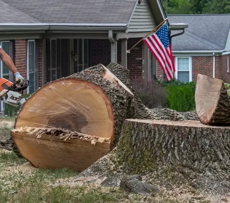 Large tree trunk cut into sections in a suburban front yard, with a U.S. flag hanging nearby.