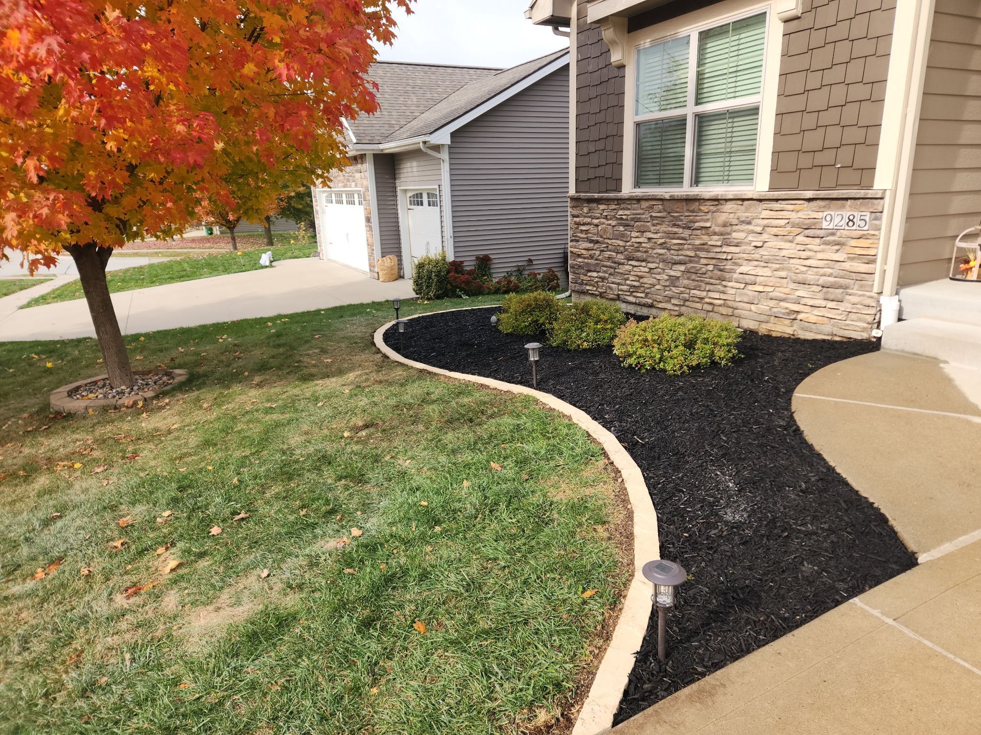 Landscaped front yard with curved mulch bed, small shrubs, and a red-leaf tree beside a house and walkway