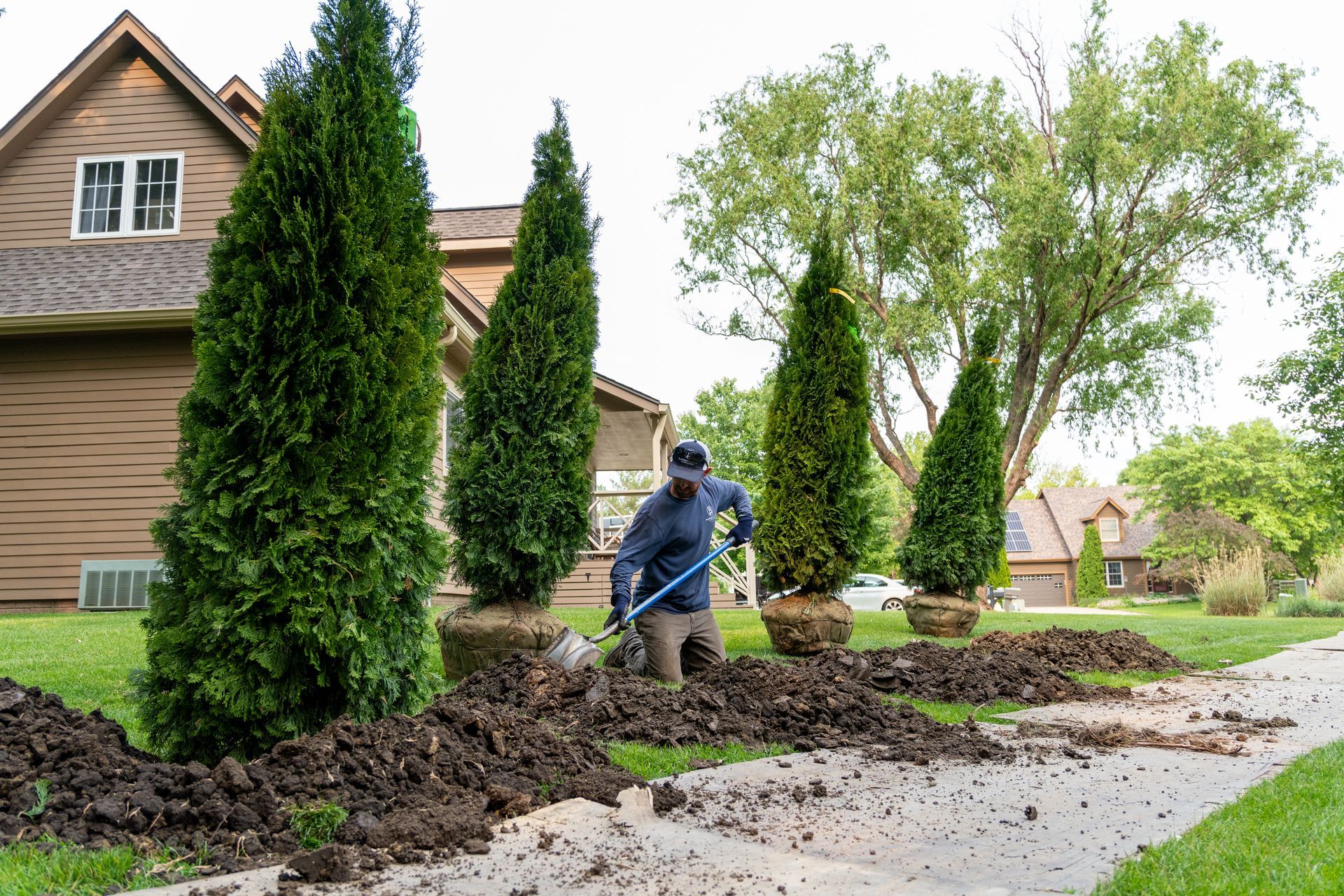 Gardener planting shrubs beside a suburban house, with mulch piles and a paved walkway