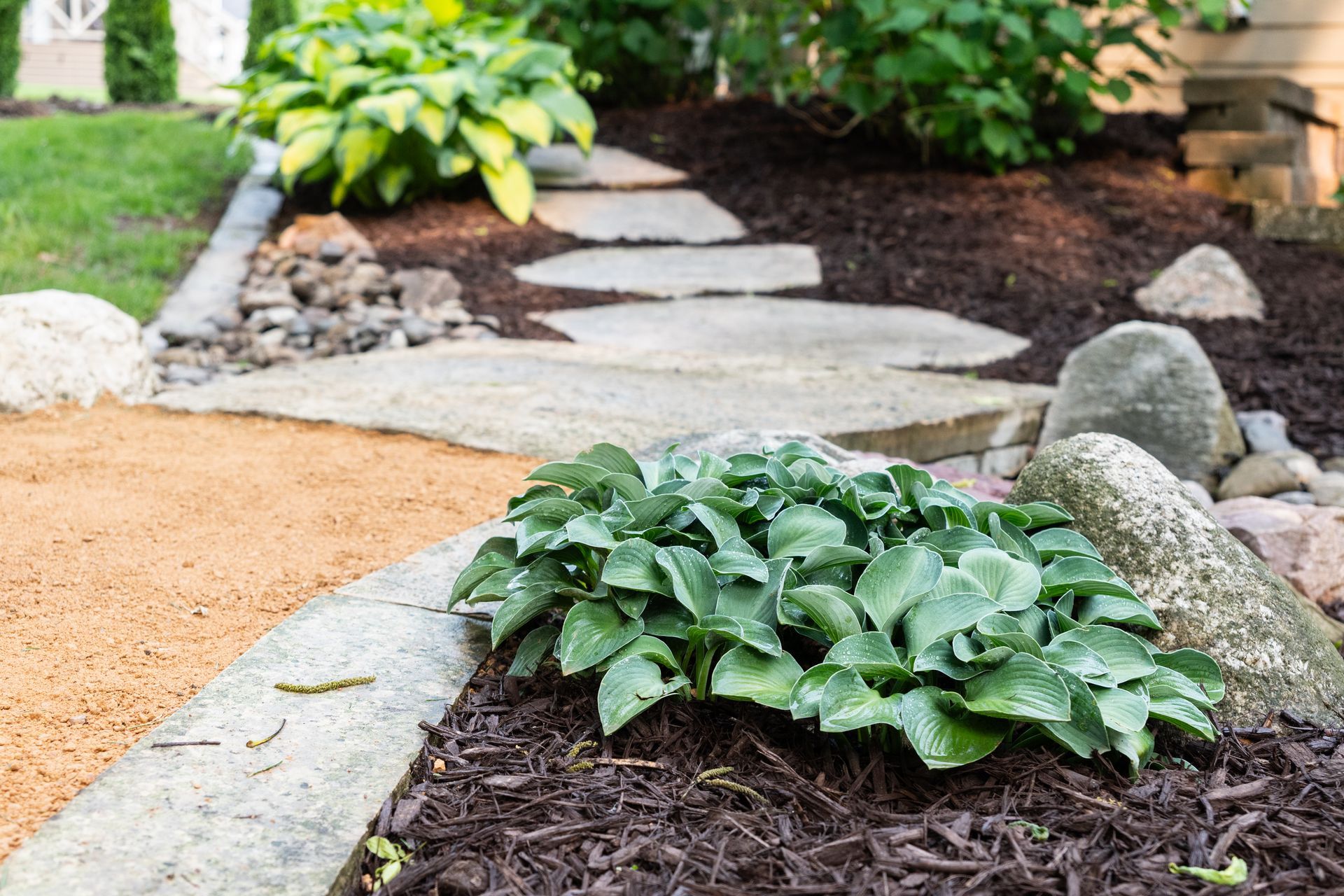 Landscaped garden path with stepping stones, mulch, rocks, and green plants