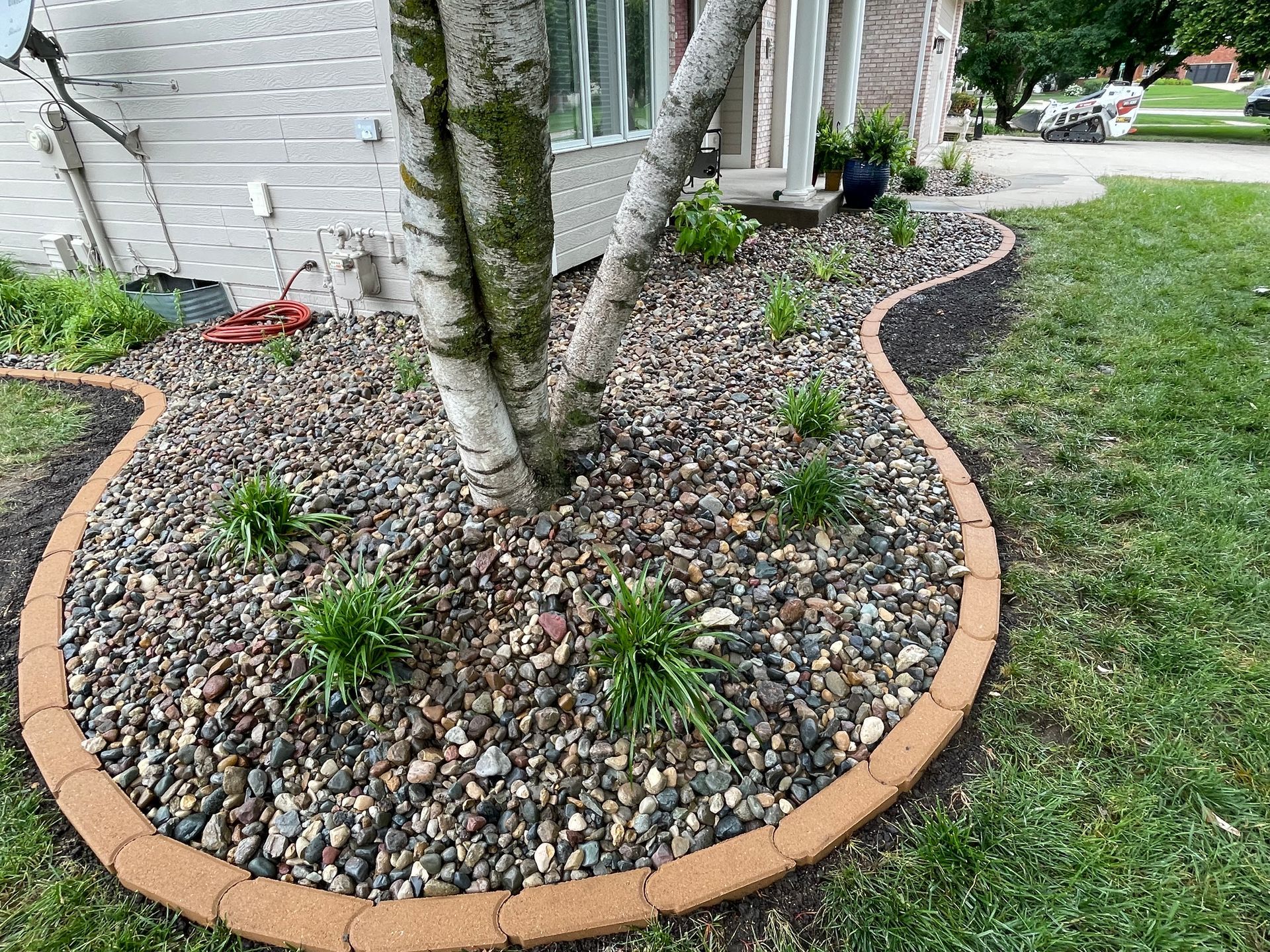 Rock-bordered tree bed with pebbles, small plants, and a birch tree beside a house and lawn