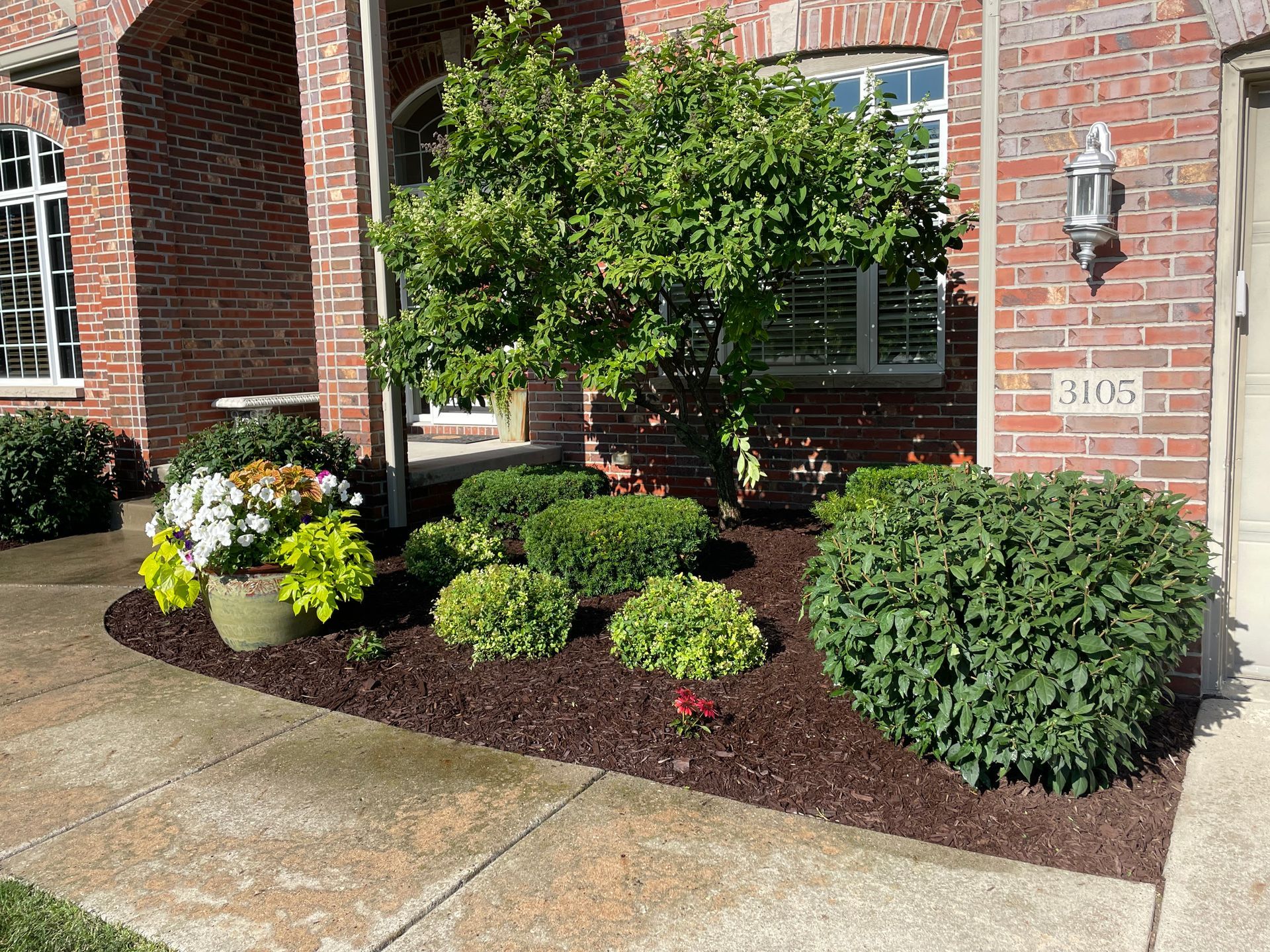 Front entrance with manicured shrubs and flowers beside a brick house walkway