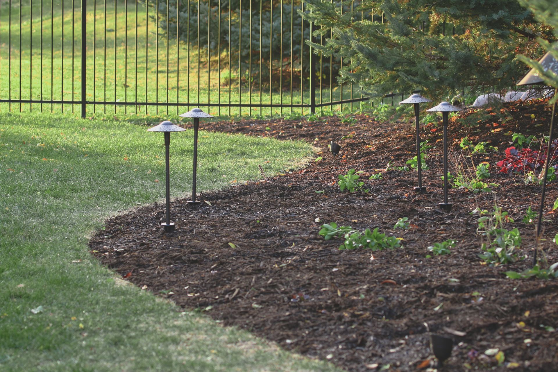 Garden bed edged by lawn, with solar stake lights and a black fence in the background