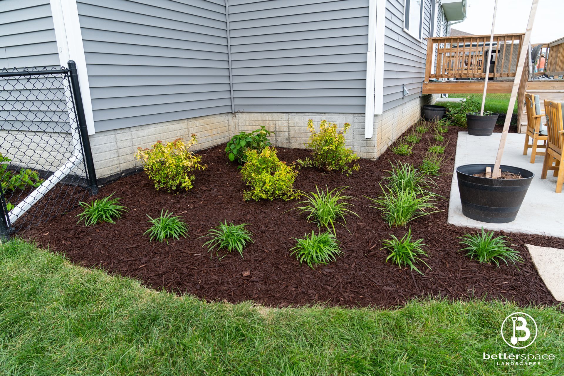 Mulched corner garden bed with small green shrubs beside a house and walkway