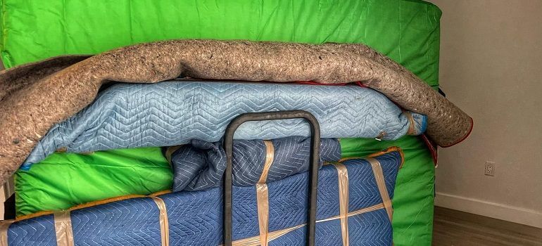 Green couch with blue cushion and folded tan blanket draped over the top, indoors