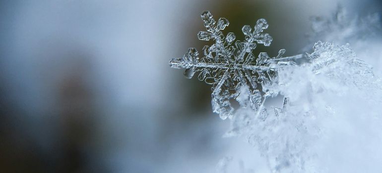 Close-up of a frost-covered snowflake on white snow with a blurred blue-gray background