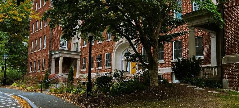 Brick apartment buildings beside a tree-lined sidewalk in autumn, with fallen leaves and parked cars