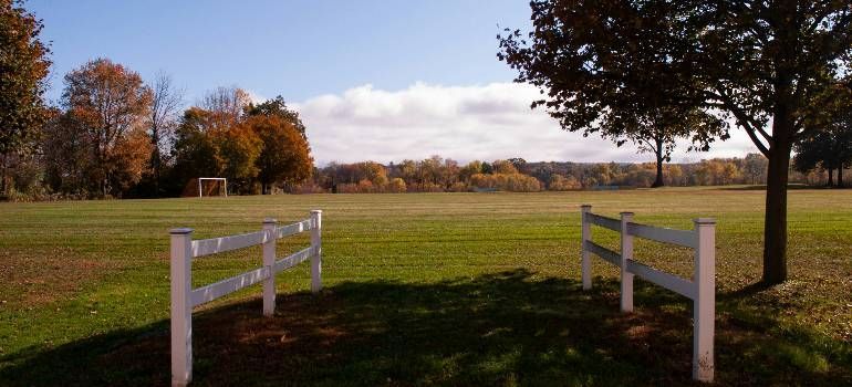 White fence framing a grassy field with autumn trees under a clear sky