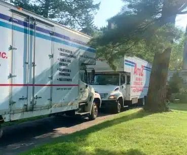 Moving trucks lined up on a grassy roadside beside a large tree, one partially blocking the other.