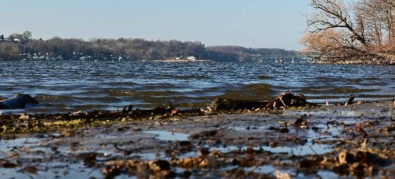 Snowy shoreline with choppy blue water and bare trees in the distance