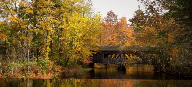 Autumn trees around a wooden bridge reflected in a calm pond
