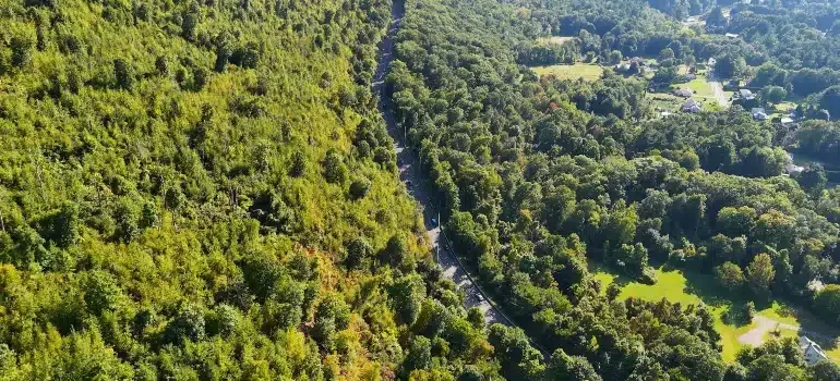 Aerial view of lush green forested hills with a narrow valley and bright sunlit clearings.