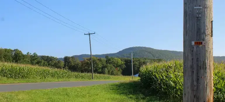 Rural roadside with green fields, a utility pole, and a wooded hill under a clear blue sky