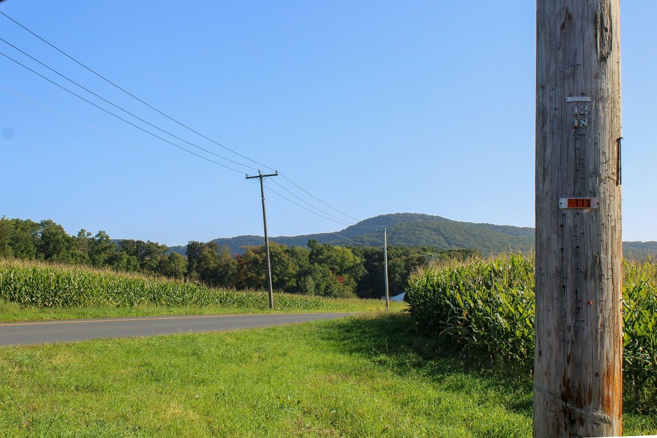 Rural roadside with green fields, utility poles, and a distant hill under a clear blue sky