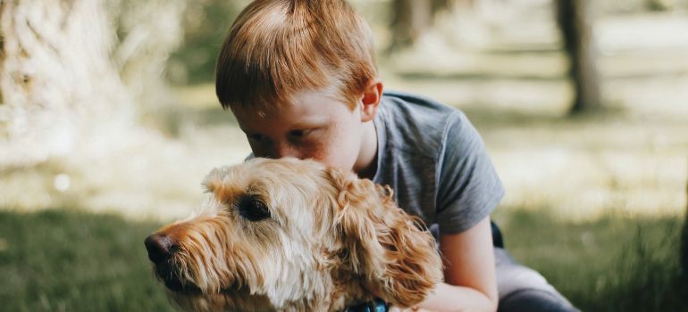 Child hugging a small brown dog outdoors in a sunny yard
