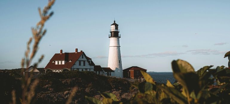 White lighthouse beside a red-roofed building under a blue sky, seen through coastal grasses