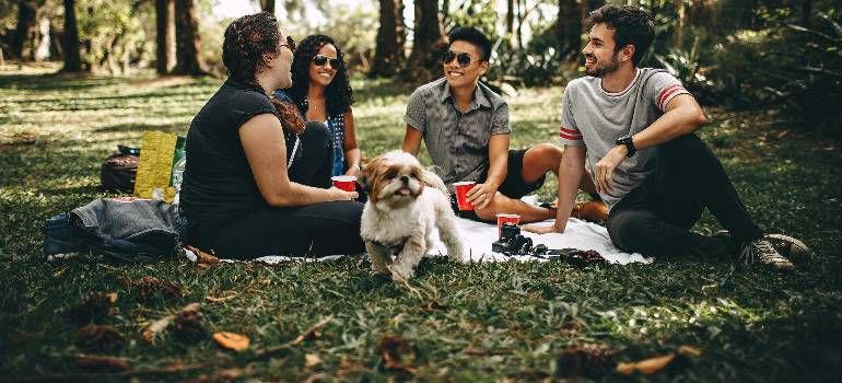 Friends sitting on a picnic blanket in a park with a dog, chatting and relaxing under trees
