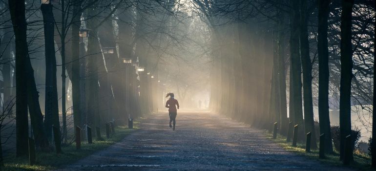 Lone runner on a foggy, tree-lined path at dawn, with soft light ahead