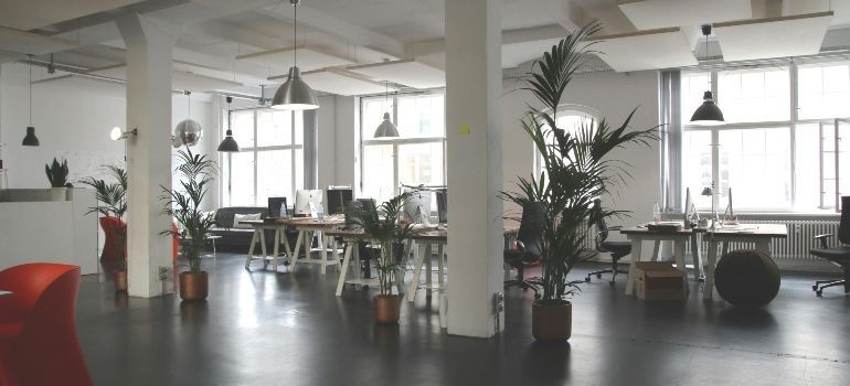 Bright open office with desks, chairs, large windows, and potted plants