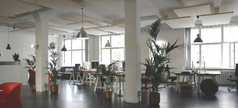 Open office with desks, chairs, pendant lights, and large windows in a bright modern workspace