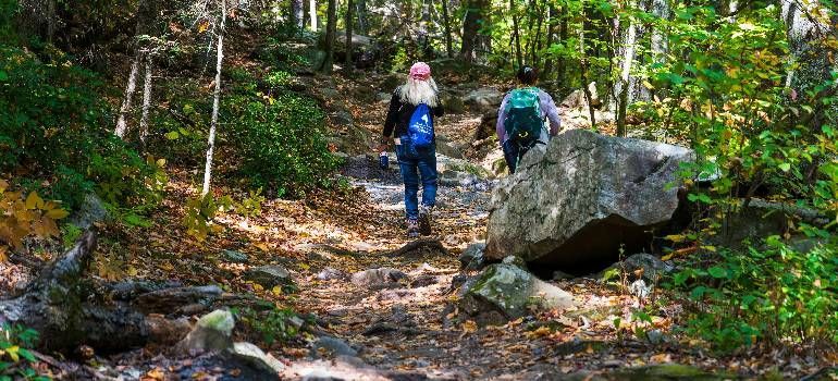 Two hikers walking on a forest trail beside a large boulder, surrounded by autumn leaves.