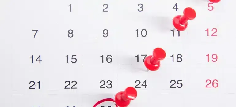 Calendar with numbered dates marked by red paw prints