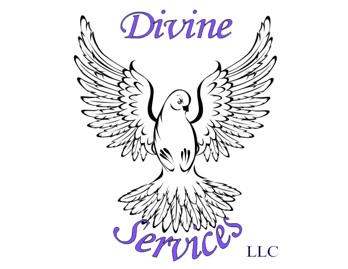 Divine Services LLC logo with a white dove and purple script text