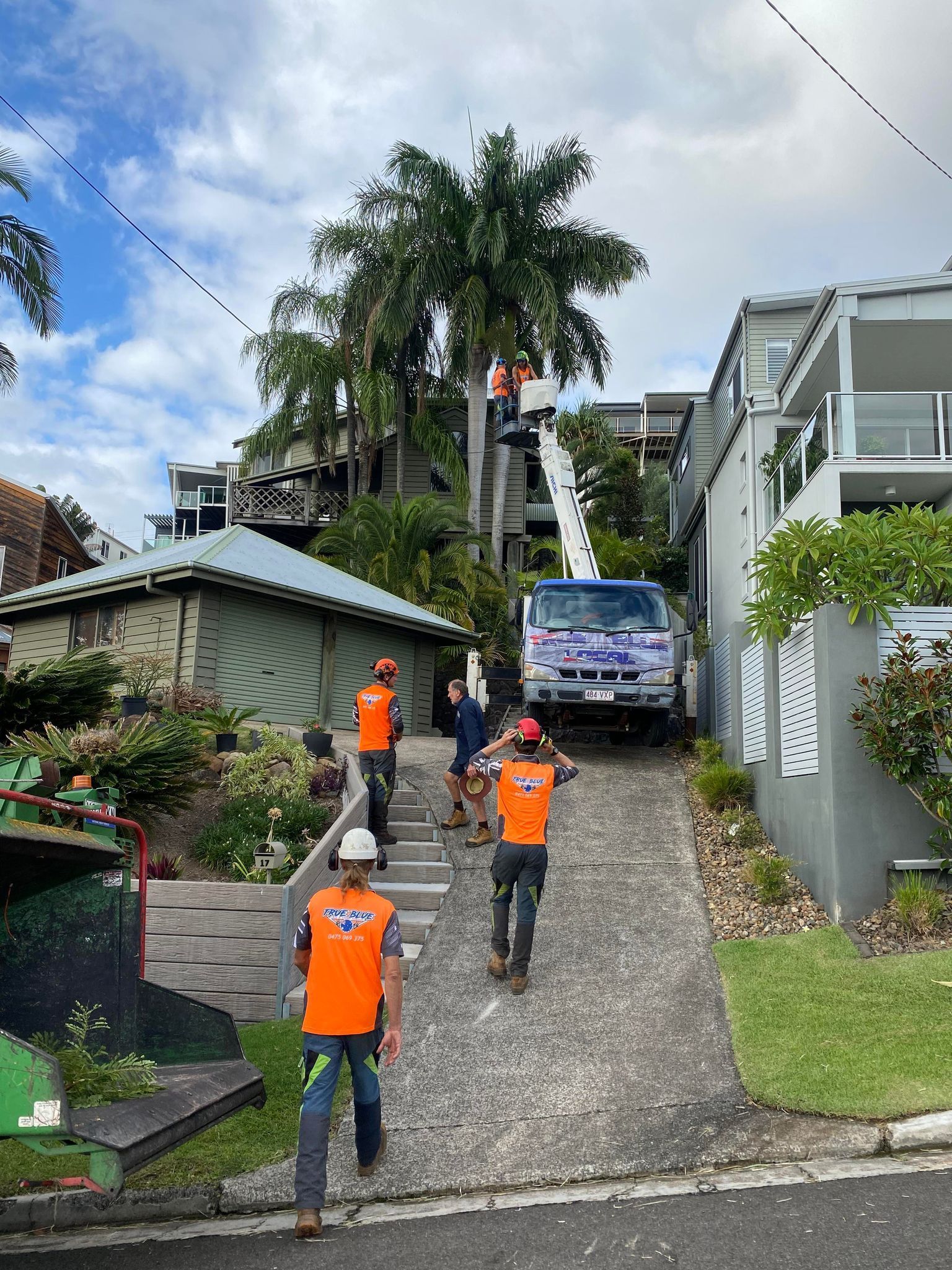 Workers in high-visibility orange vests operate a cherry picker to trim a tall palm tree on a residential driveway.