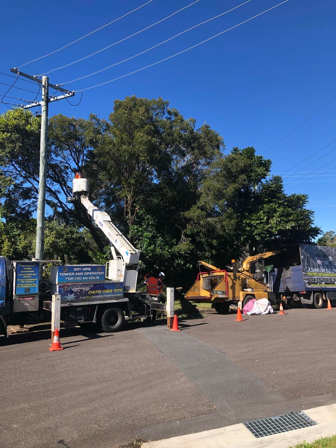 A tree service truck with an extended bucket lift and a wood chipper parked on an asphalt road near trees and a utility pole.