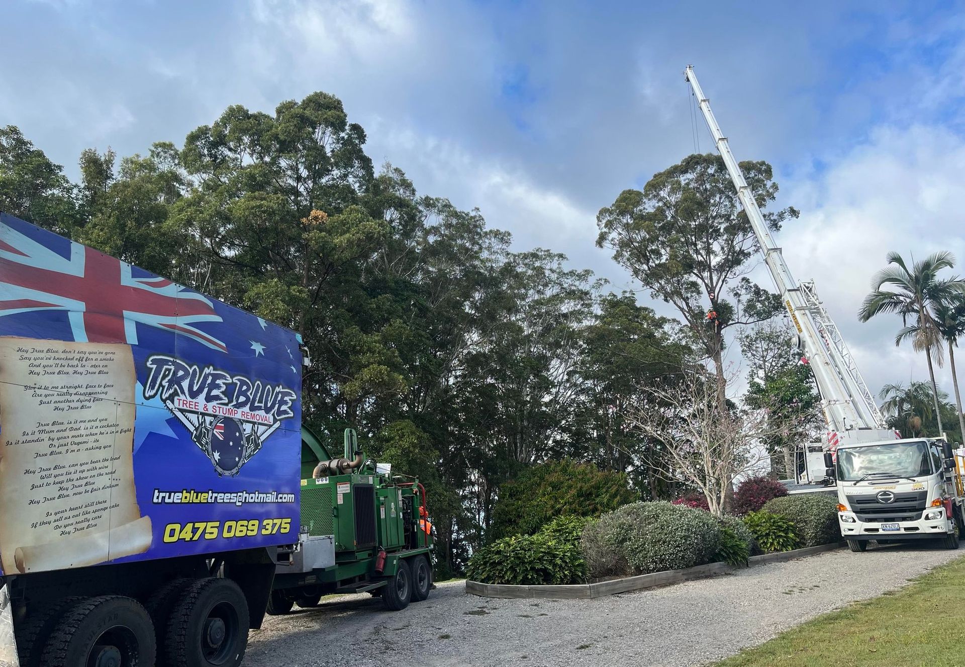 A tree service truck and a crane performing tree removal work at an outdoor site with green trees under a cloudy sky.