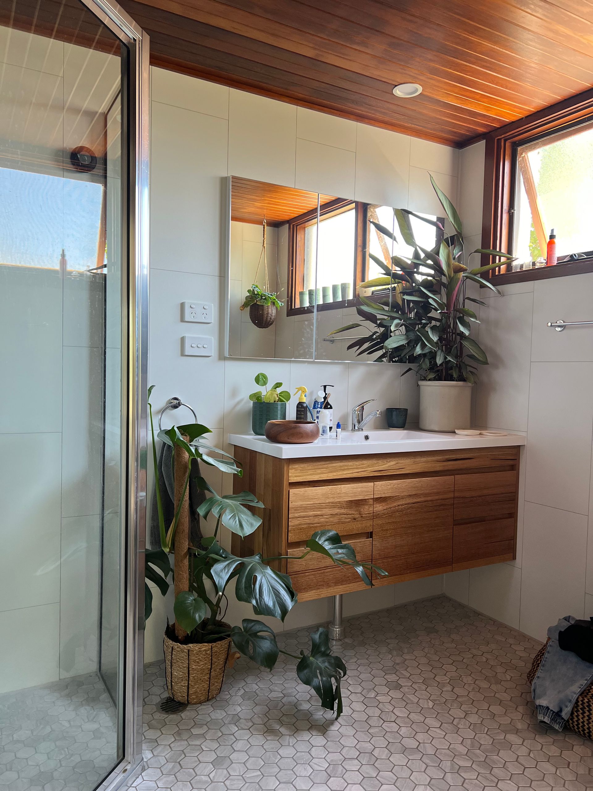 A Bathroom with A Sink and Plants — P & M Maintenance Building Services in Yass River, NSW