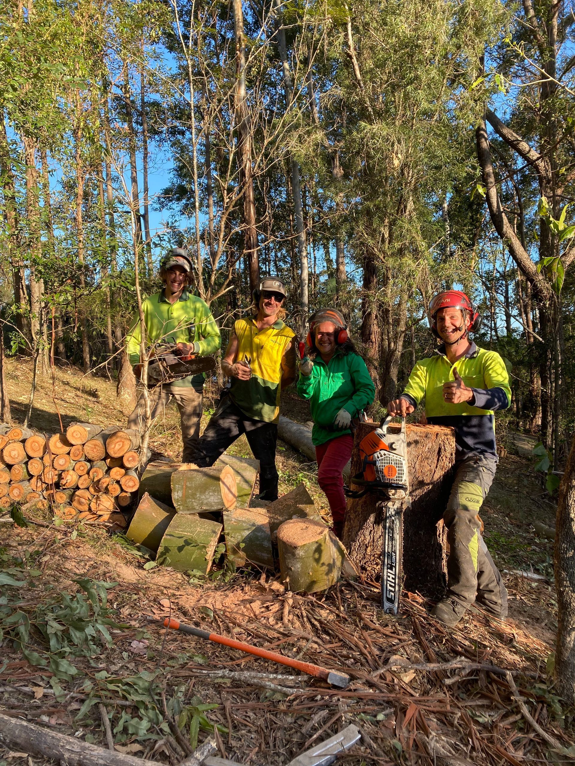 Four People in Safety Gear Pose Near a Chainsaw and Logs — AAA Trees On Tweed in Murwillumbah, NSW