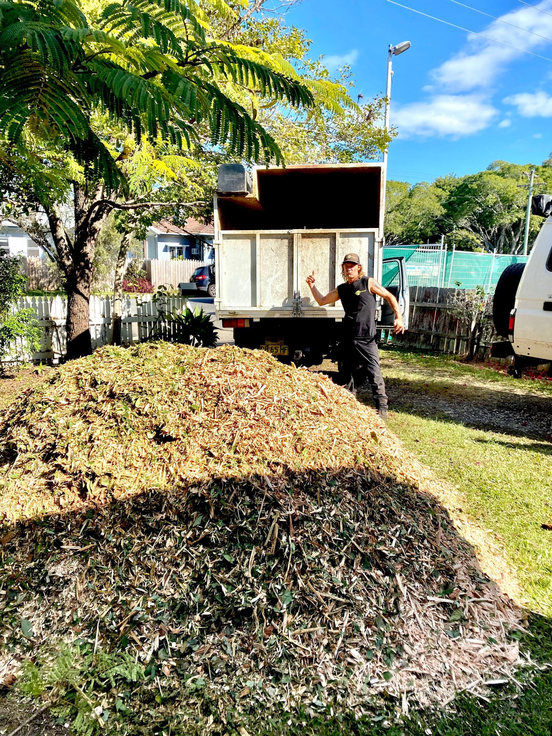 Man Standing Next to A Truck, Pointing at A Large Pile of Wood Chips in A Yard — AAA Trees On Tweed in Mullumbimby, NSW