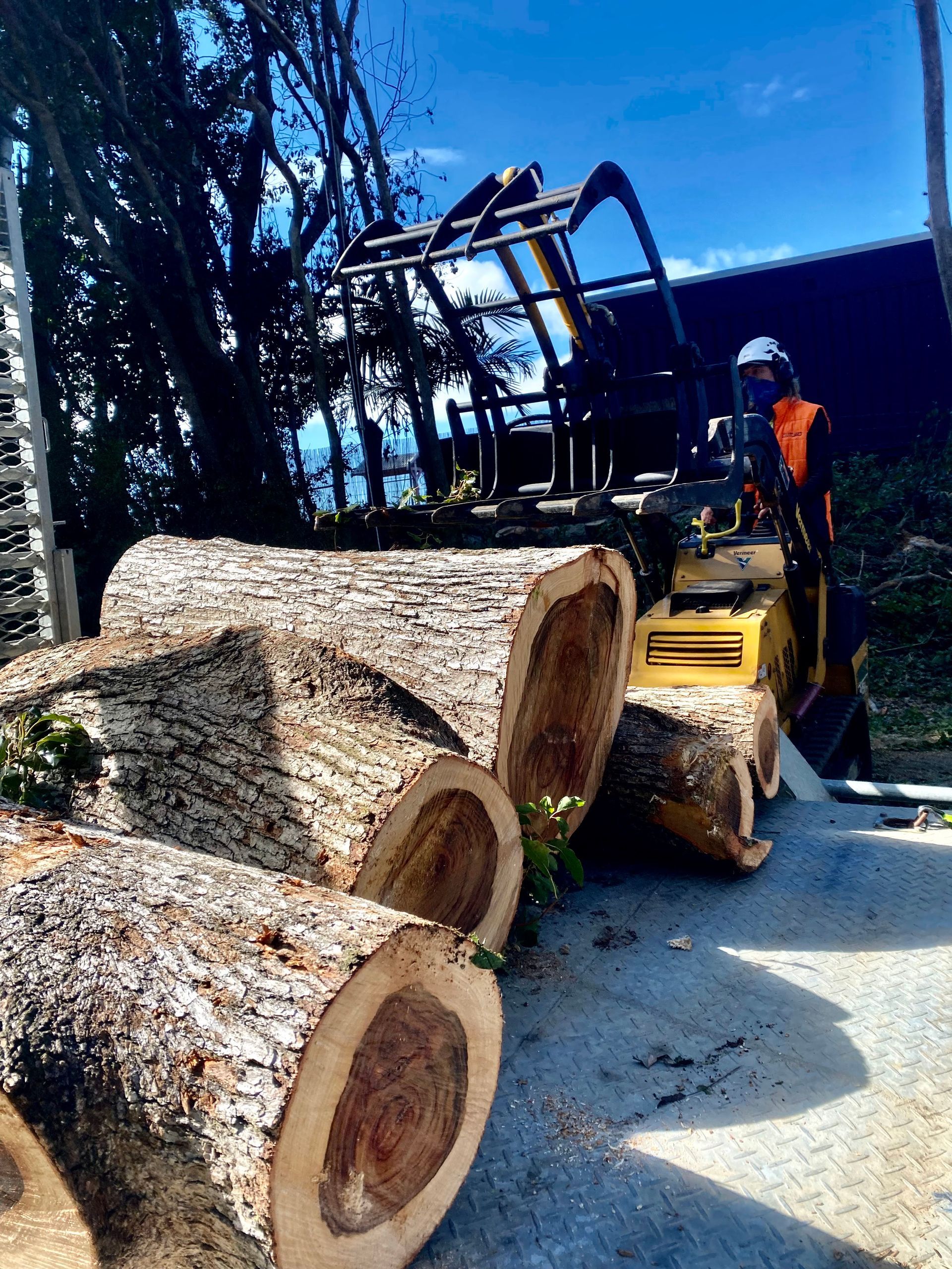 Logs Being Cut by A Yellow Machine — AAA Trees On Tweed in Pottsville, NSW