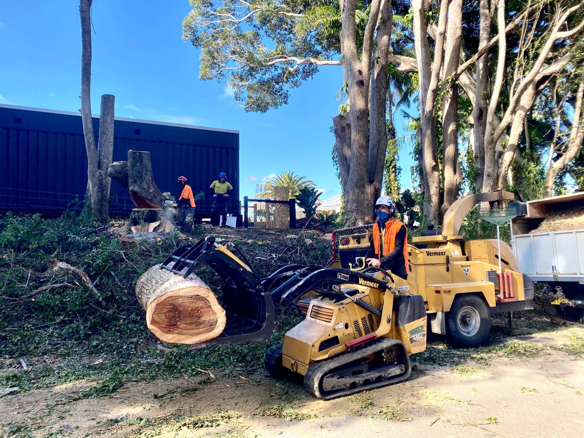 Workers Using a Mini-Excavator to Move a Tree Section — AAA Trees On Tweed in Alstonville, NSW