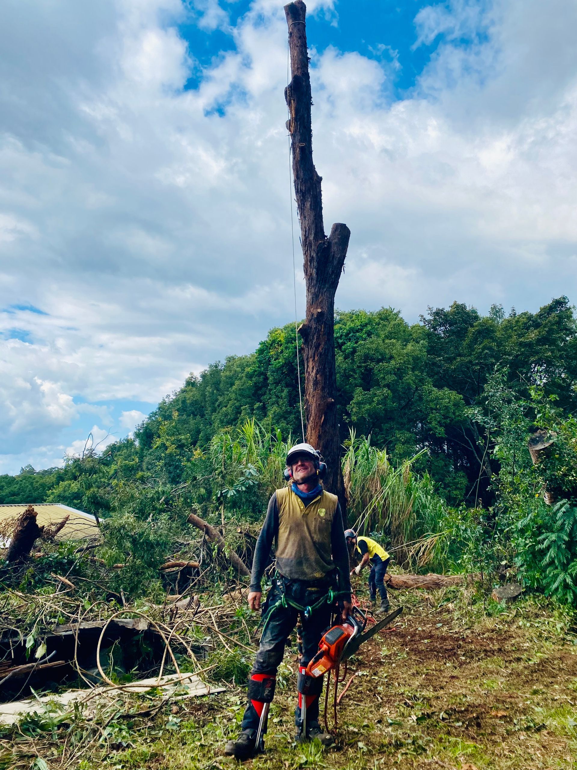 Man with Chainsaw Stands Before a Tall, Bare Tree in A Clearing — AAA Trees On Tweed in Terranora, NSW