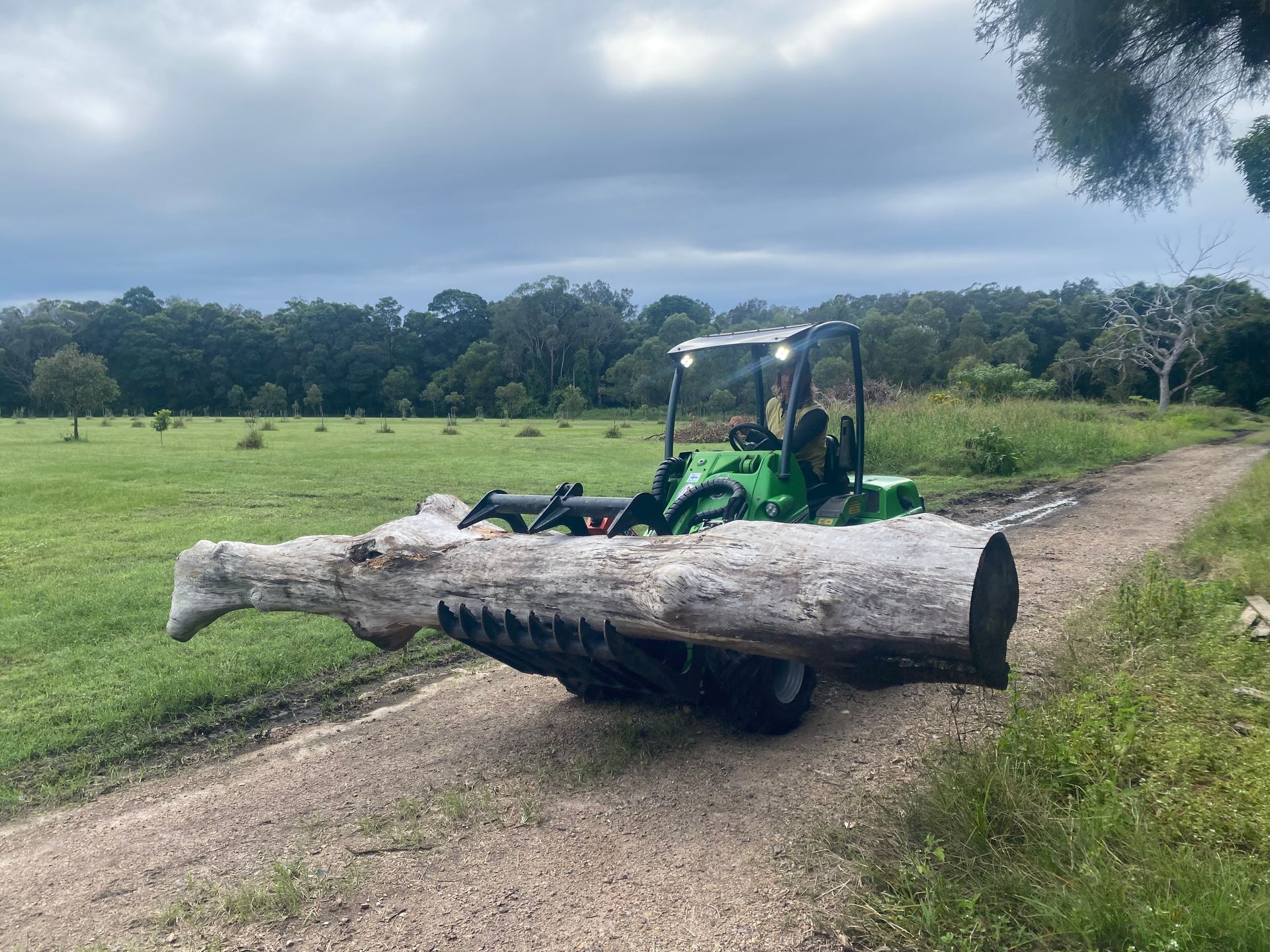 Green Tractor Carrying a Large Log on A Dirt Road in A Grassy Field — AAA Trees On Tweed in Bangalow, NSW