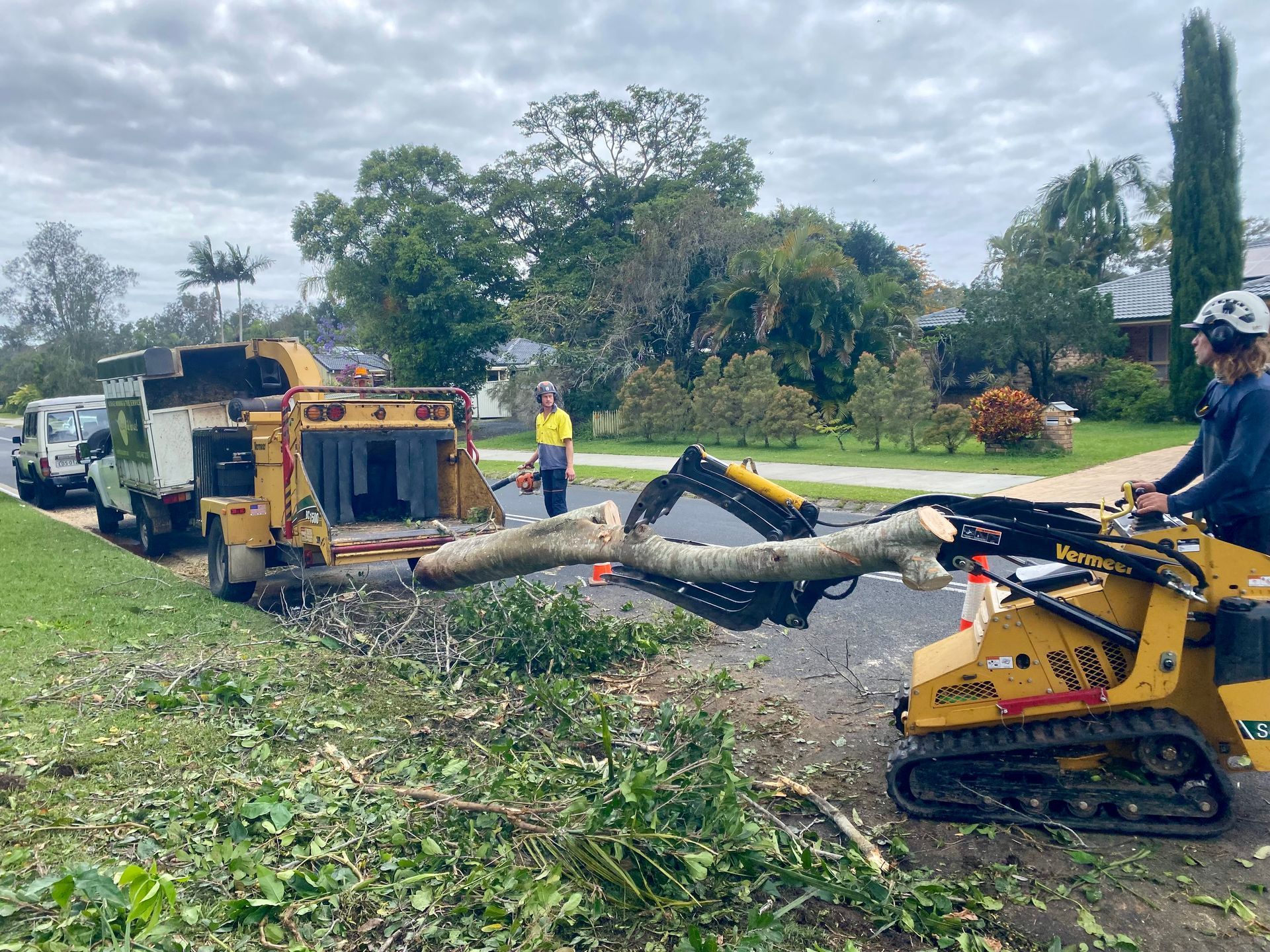 Two Workers Feeding a Tree Branch Into a Wood Chipper on A Suburban Street — AAA Trees On Tweed in Pottsville, NSW