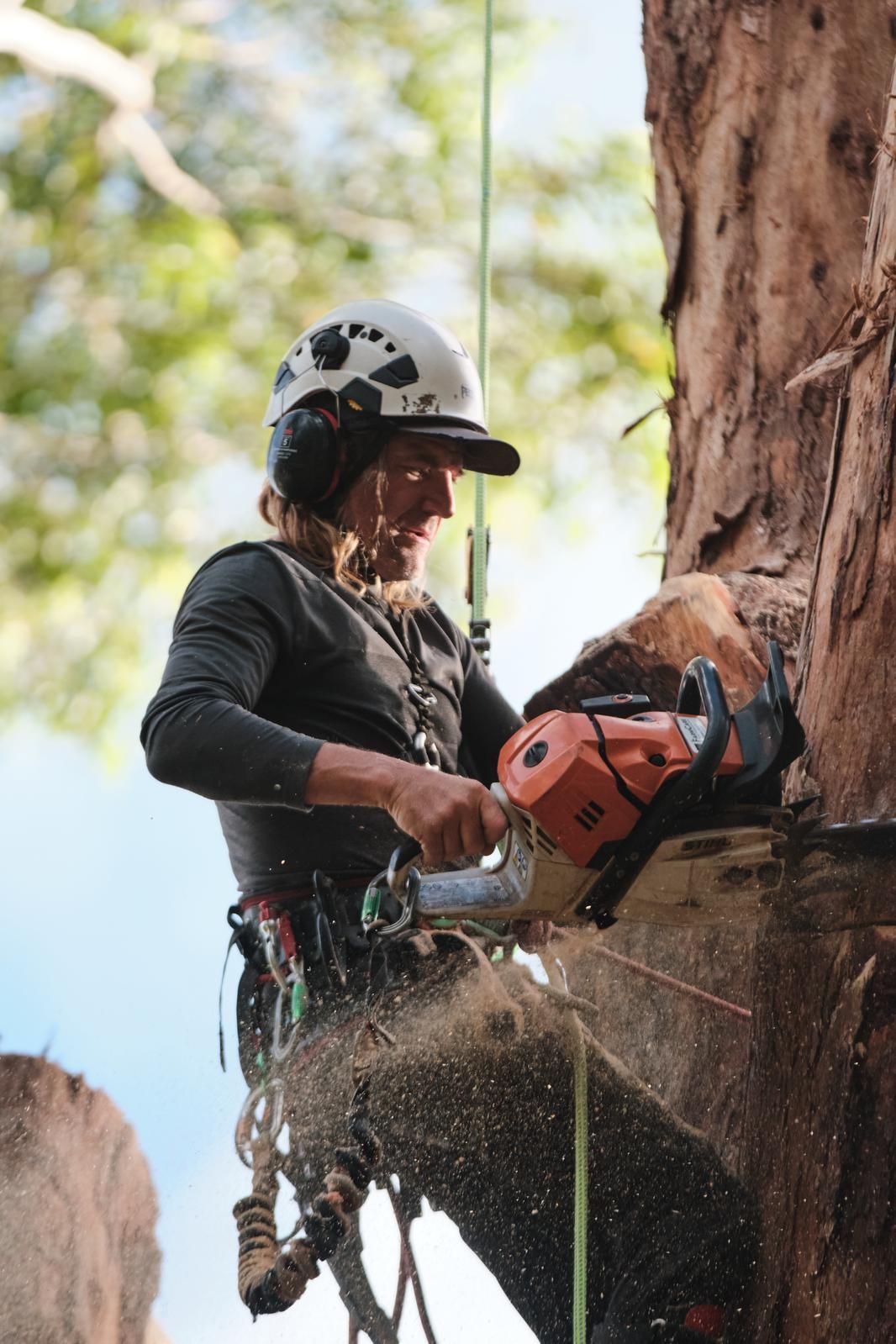 Arborist Wearing a Helmet and Safety Gear Cutting a Tree Branch — AAA Trees On Tweed in Kingscliff, NSW