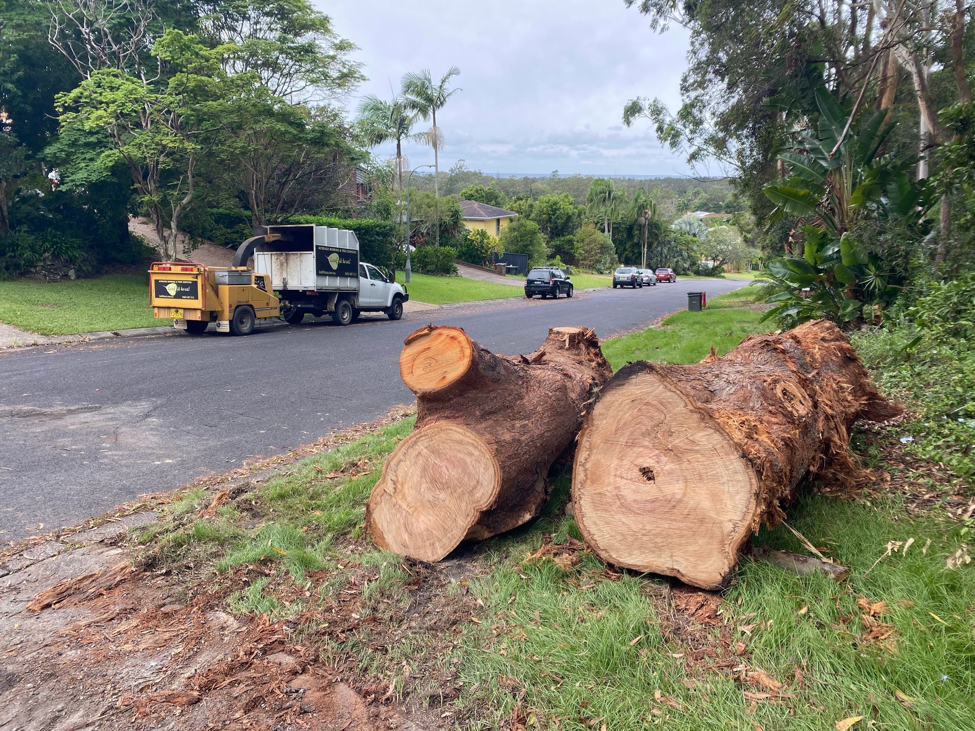 Two Tree Logs on Roadside — AAA Trees On Tweed in Ballina, NSW