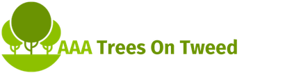 Arborist in Tweed Heads Arborist in Tweed Heads