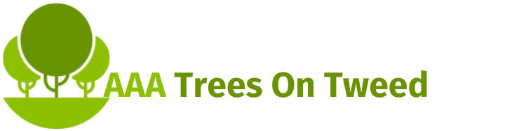 Arborist in Tweed Heads Arborist in Tweed Heads