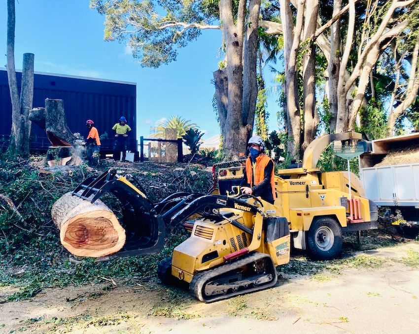 Tree Removal: Worker Operating Wood Chipper — AAA Trees On Tweed in Casuarina, NSW