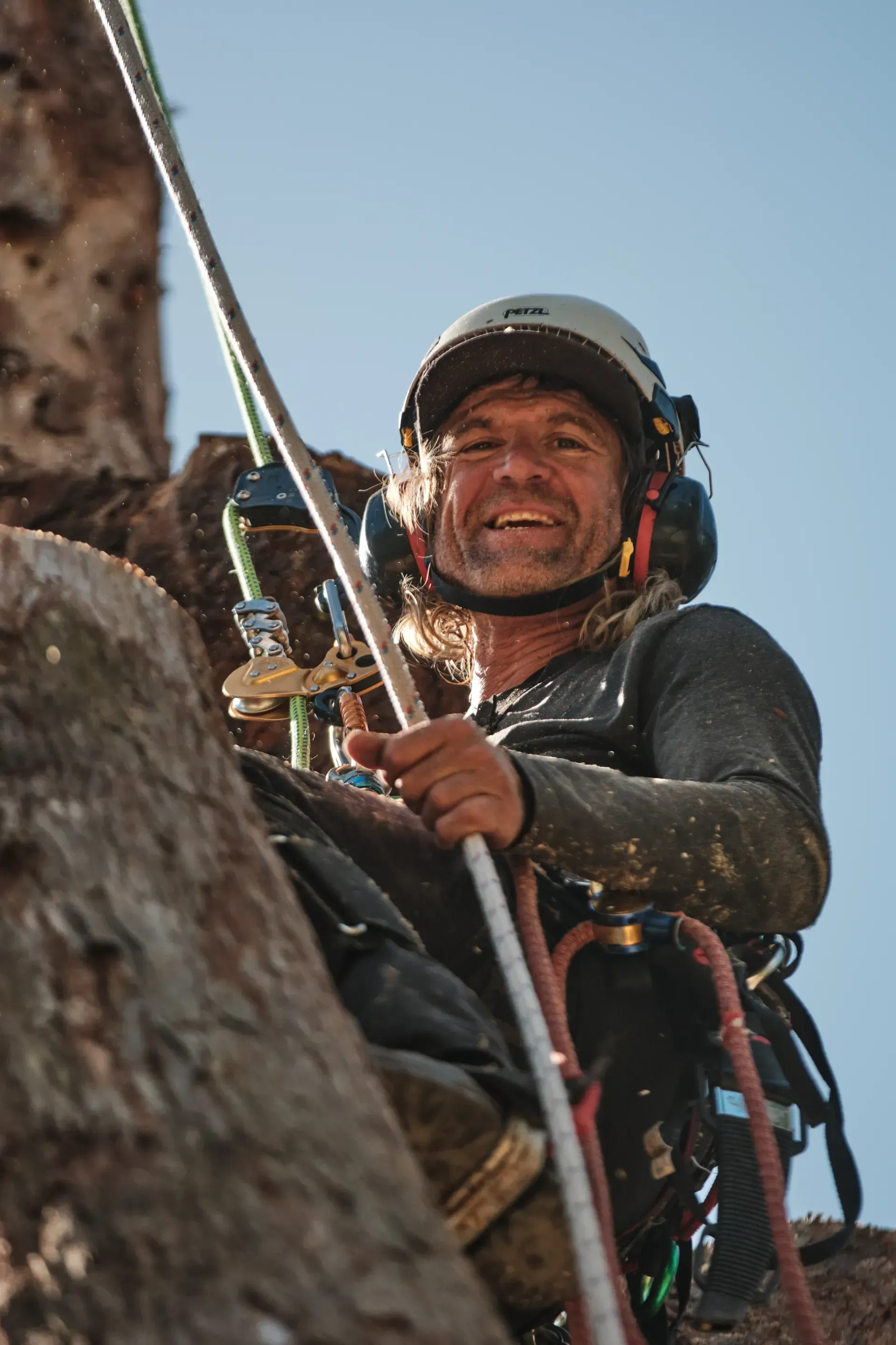 Arborist Using a Chainsaw to Cut a Large Tree Branch — AAA Trees On Tweed in Murwillumbah, NSW