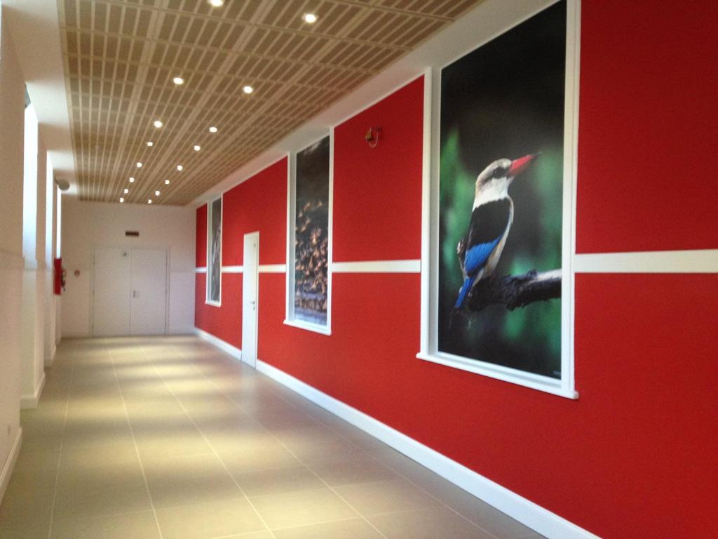 IMPRESA EDILE SPF